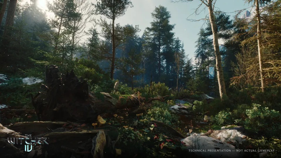 Лес региона Ковир из технодемо на Unreal Engine 5